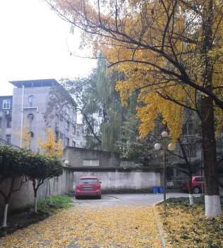 成都轮廓塑形做得好的医院排名，当地5家口碑较高医院介绍(图4)