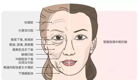 少女针价格_功效_副作用_价格表(图1)