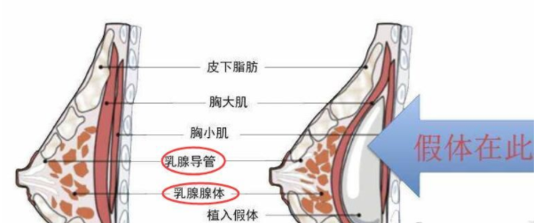 南京医科大学友谊整形医院怎么样？正规吗，医院地址，整形案例！