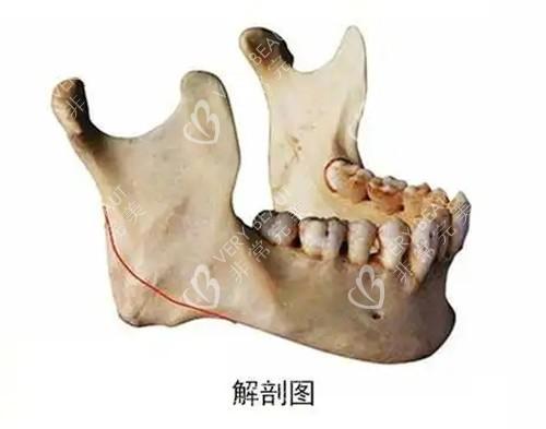 上海时光何晋龙做磨骨贵不贵？要多少钱？做颧骨颧弓收费6.8w