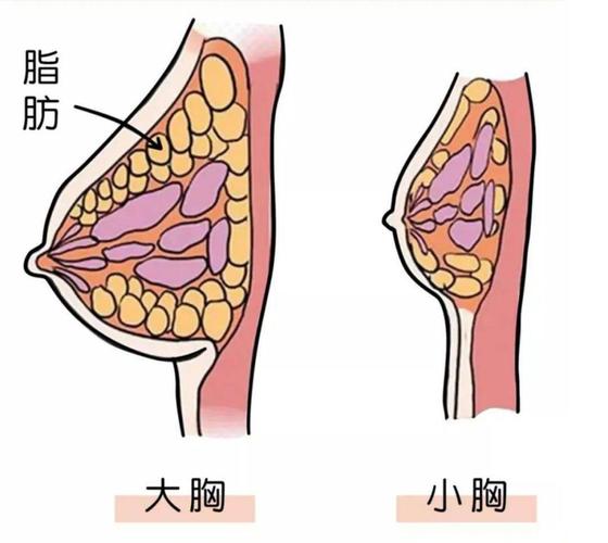合肥春语医疗美容门诊部实力如何？地址信息和医院资料盘点
